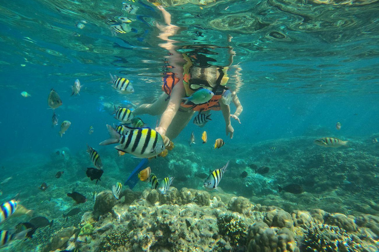 Lombok: Snorkeling Trip to The Best Two Gilis From Lombok