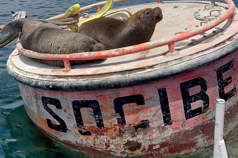 Santiago: Valparaíso + Boat + Viña del Mar + Tasting at Boutique Winery Santiago: Valparaíso + Boat + Viña del Mar + Tasting at Viña Boutique