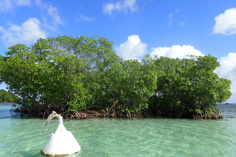 Guadeloupe: Guided Sea Excursion - Discover the Grand Cul-de-Sac Marin 4-hour guided tour - Discover the treasures of the Lagoon - islets, shipwreck, mangrove