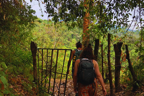 Tour de café, cacau e trekking em Minca: Natureza, cultivos e produção