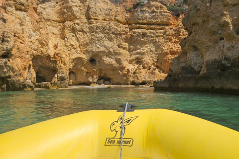 Lagos: Guided Small Group Dolphin Watching Tour