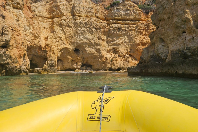 Lagos: Guided Small Group Dolphin Watching Tour