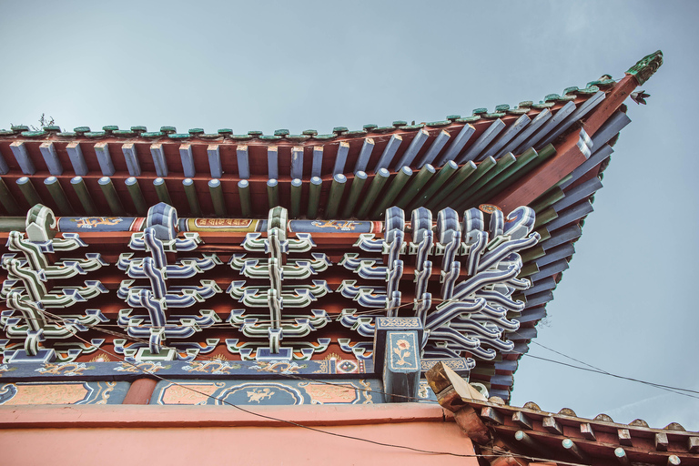 Ulaanbaatar City Tour with a Local