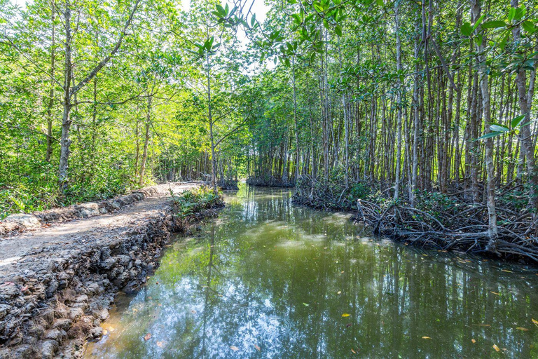 Ho Chi Minh City: Can Gio Mangrove Private Day Tour