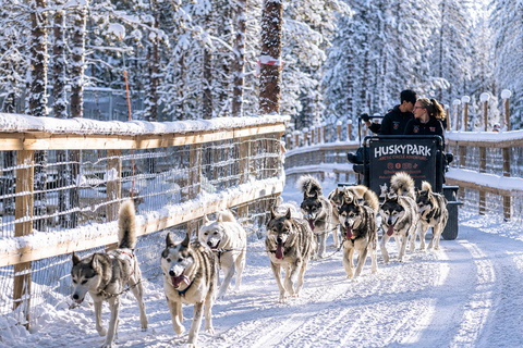 Rovaniemi: Your First Husky Sled Ride & Husky Farm Visit ⭐ 500m Husky Ride | Standard