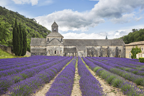 From Paris: 7-Day Avignon, Barcelona, and Bordeaux Tour
