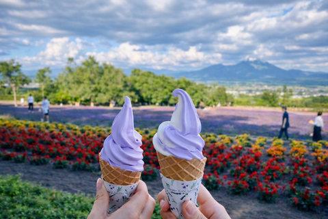 Hokkaido: Furano & Biei 1-Day Tour with Melon & Blue Pond No Melon