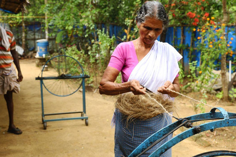 Kerala: Backwater Village Punting Boat Cruise with Lunch