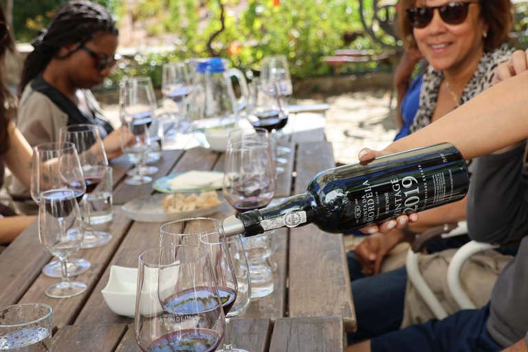 Valle del Douro: tour di mezza giornata con 1 cantina, degustazioni e tour in barca di 1 ora