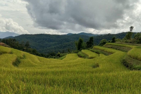 Chiang Mai: Jungle Trek, Elephants care & Bamboo Rafting