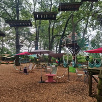 Pau - aspiration des arbres - aventure lacq - Housity