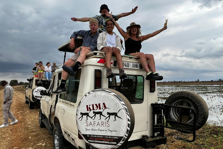 Arusha : safari de 3 jours à Tarangire, Ngorongoro et ManyaraArusha : Safari de 3 jours à Tarangire, Ngorongoro et Manyara