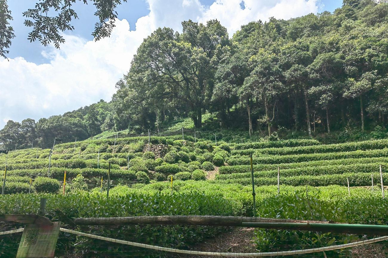 Hangzhou Jiuxi, Shililangdang & Yunqi Day Hiking Tour