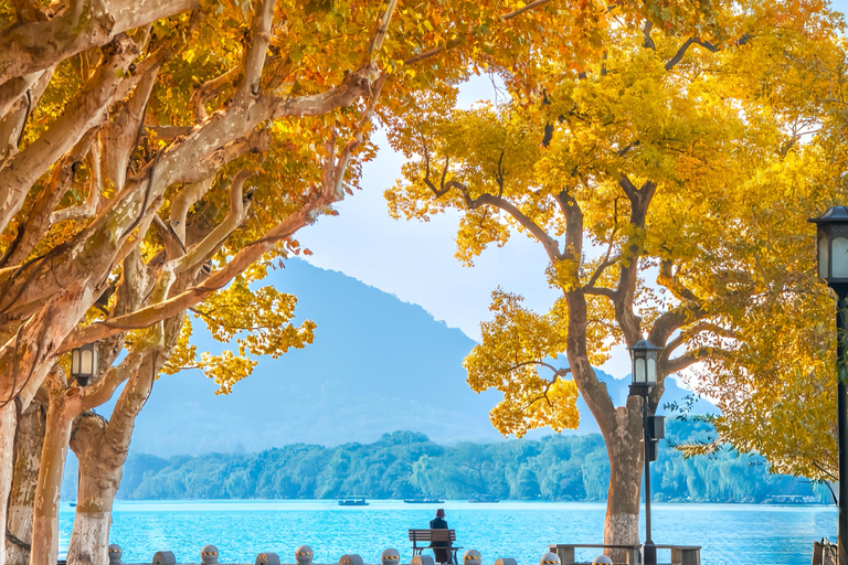 Hangzhou: Ancient to Future Private Day Tour with Boat Ride