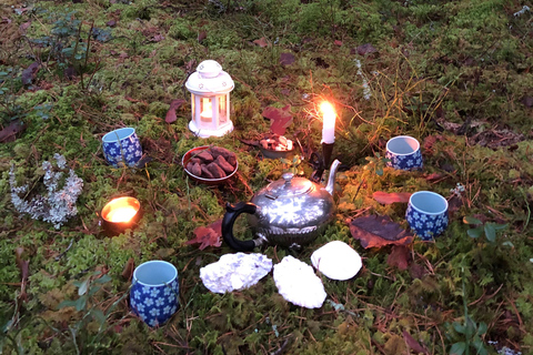 Forest Bathing in Stockholm nature with certified guide Forest bathing with tea-ceremony in mossy nature reserve