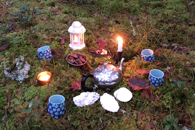 Forest Bathing in Stockholm nature with certified guide Forest bathing with tea-ceremony in mossy nature reserve