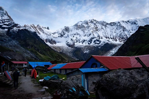 Pokhara: Annapurna base camp Trek with Female Guide