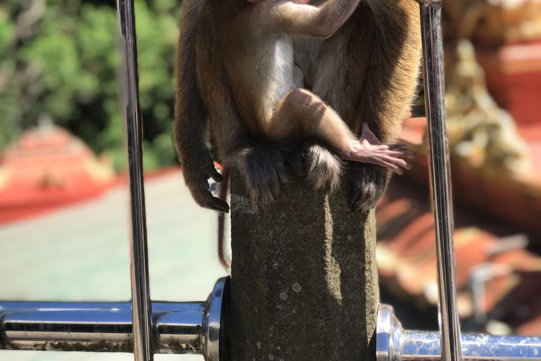 Kandy: Nuwara-Eliya Trip with Driver-Guide & Scenic Stops