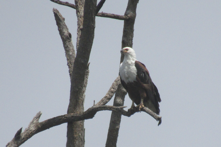 From Nairobi: Lake Nakuru National Park Day Trip Nakuru Day Trip Group Joining