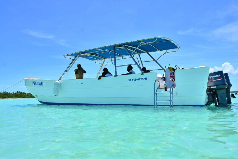 Excursión a Isla Saona desde Punta Cana con almuerzo y bar libre