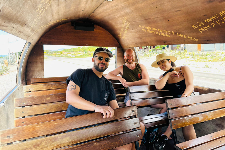 Oaxaca: Barrel-Bus Tour with Pulque, Agave & Mezcal Tastings