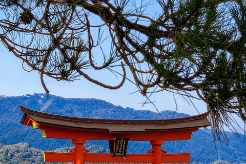 Kyoto & Osaka: Private Customizable Day Trip with Guide