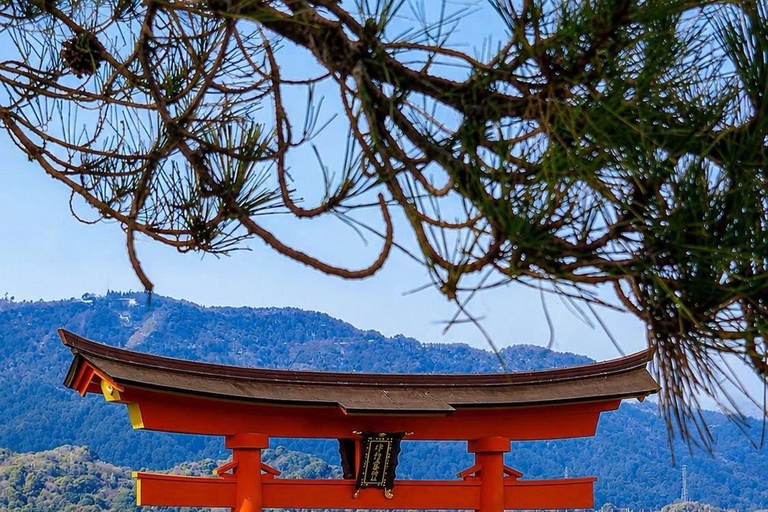 Kyoto & Osaka: Private Customizable Day Trip with Guide