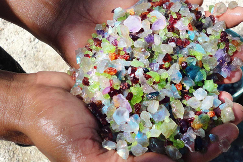 From Colombo/Negombo: Turtle Hatchery, Madu River & Galle