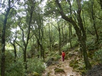 Bruncu Casteddu, hiking guided tour close Ulassai Village - Housity