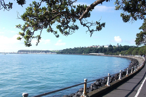 Auckland: Stadsrondleiding met wijnproeverij en Black Sand Beach