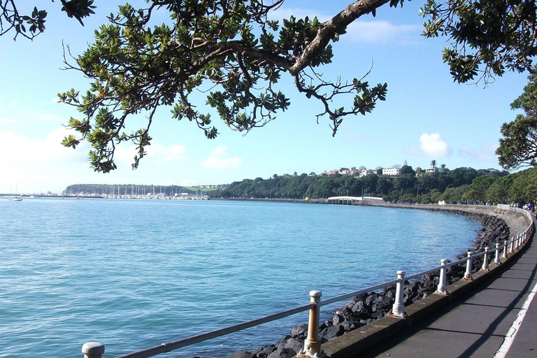 Auckland: Stadtführung mit Weinverkostung und Black Sand Beach