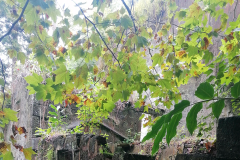 São Jorge: Tour del campeggio e dell&#039;escursionismo di Fajã