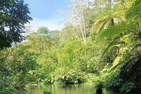 巴厘岛：莱松山两晚露营之旅·瀑布与玛永村探秘巴厘岛：2晚露营之旅，莱松山、瀑布与玛永村
