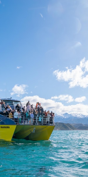 オリーブのボード 超特大フリーカット 大海原を進んでいく 約54.5cm