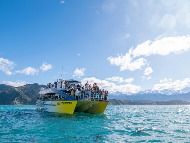 Visit Kaikoura Whale Watching Cruise in Kaikoura, New Zealand