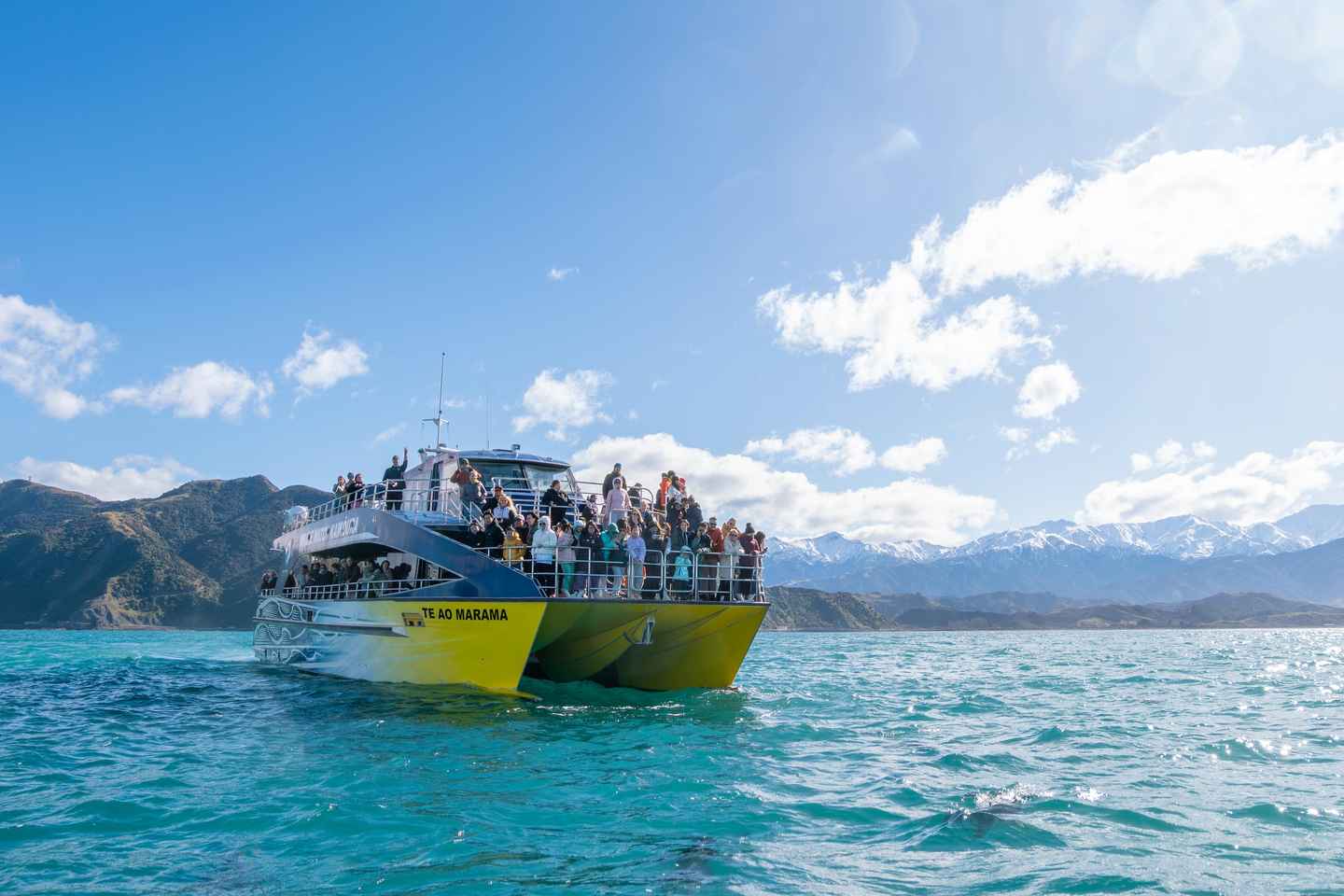 Kaikoura: Whale Watching Cruise - 12:45 PM Departure