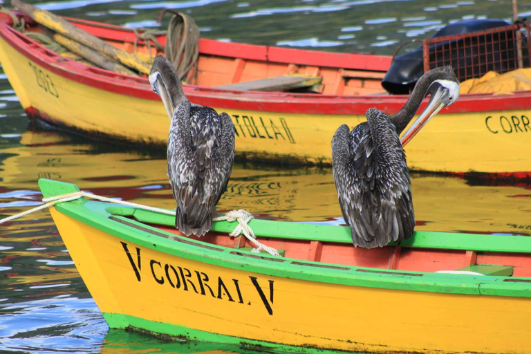 Boat ride through Valparaiso Bay Boat ride through the bay of Valparaíso