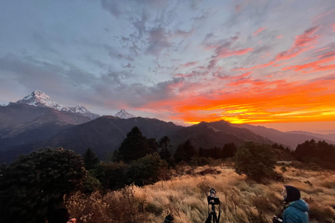 Excursión a Poon Hill