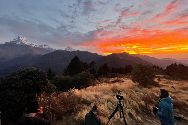 Excursión a Poon Hill