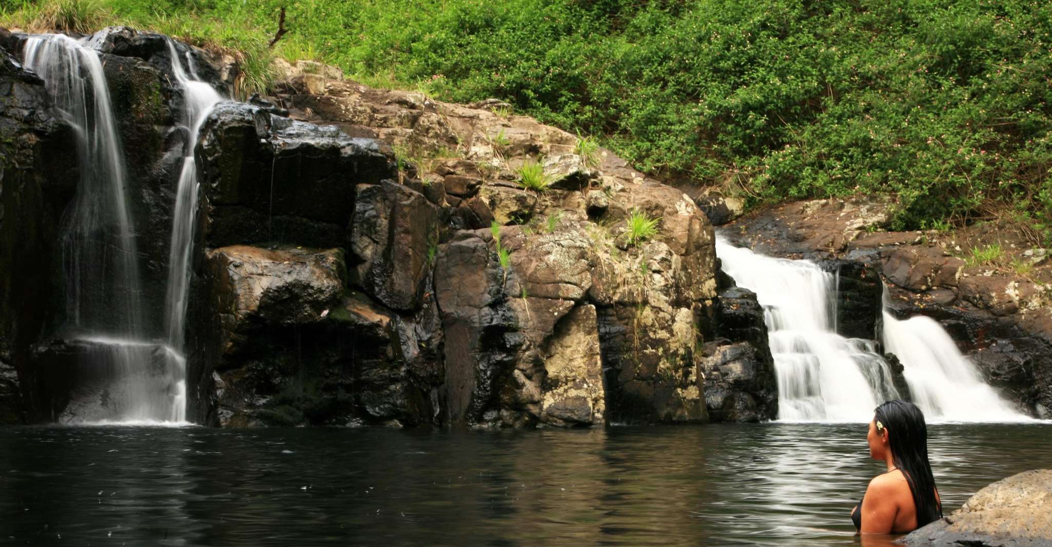 Byron Bay: Glowworms, Waterfalls & Rainforest Experience photo 3