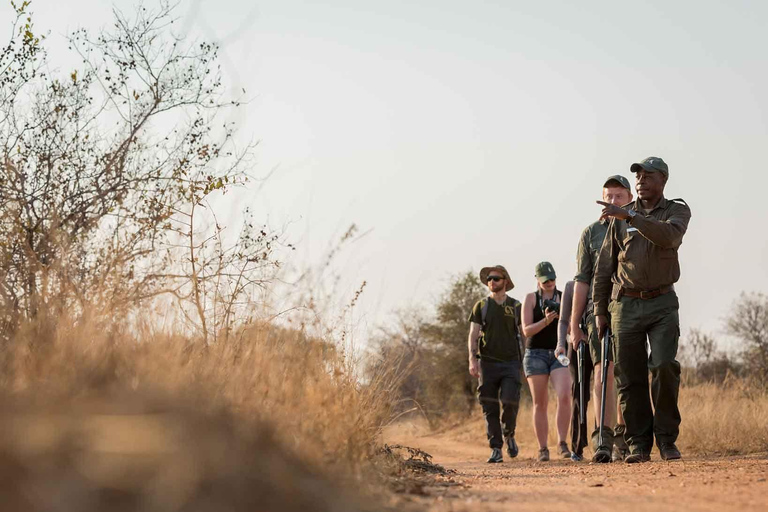 Safari tout compris de 2 jours dans le Kruger au départ de Johannesburg