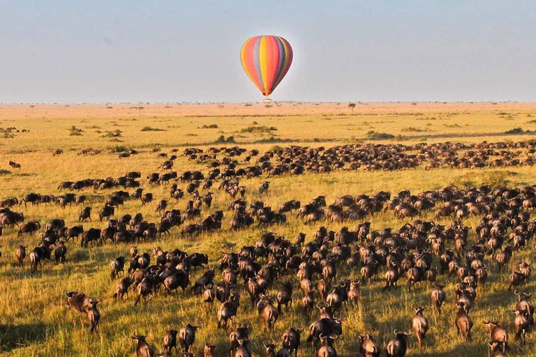 3-dniowe safari Masai Mara z balonem na gorące powietrze $ szampanMasai Mara; Safari balonem na ogrzane powietrze i śniadanie z szampanem