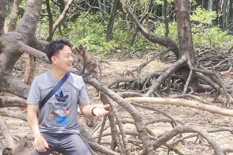 Tour di un giorno della Foresta delle Mangrovie e dell&#039;Isola delle Scimmie di Can Gio