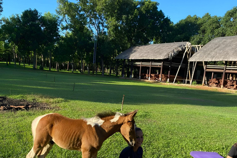 De Da Nang: Meio dia de passeio a cavalo e barco de coco - Hoi An.