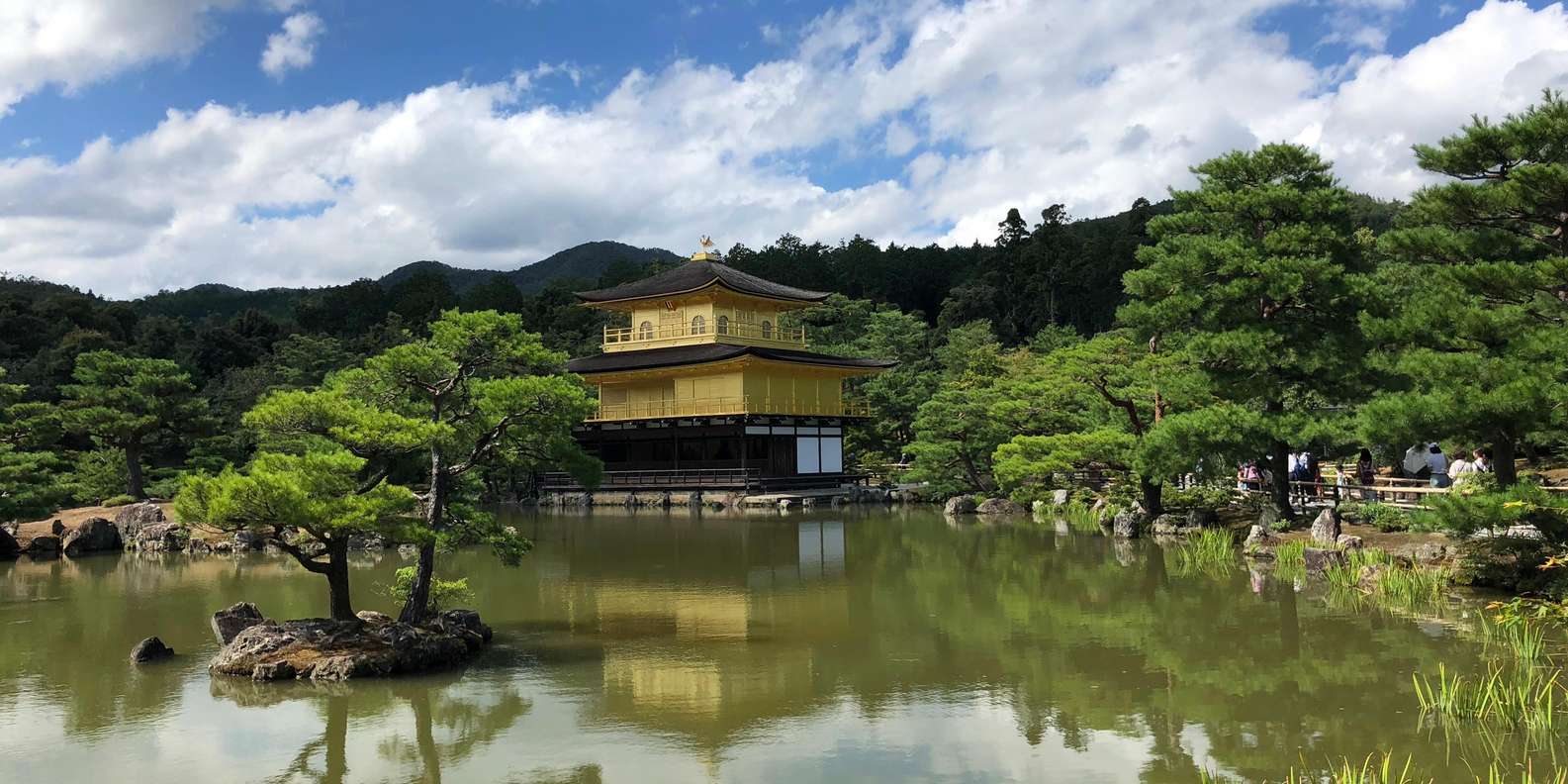 Kyoto: private Kinkaku-ji Temple Tour and Tea Ceremony