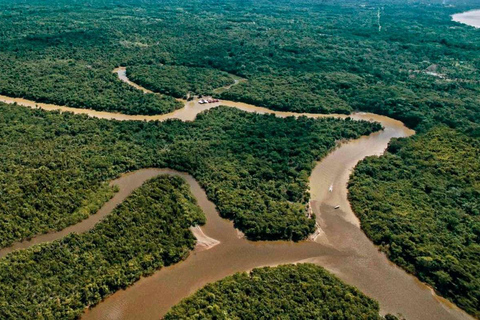 Iquitos: 2 dagar i Amazonas, världens naturliga underverk