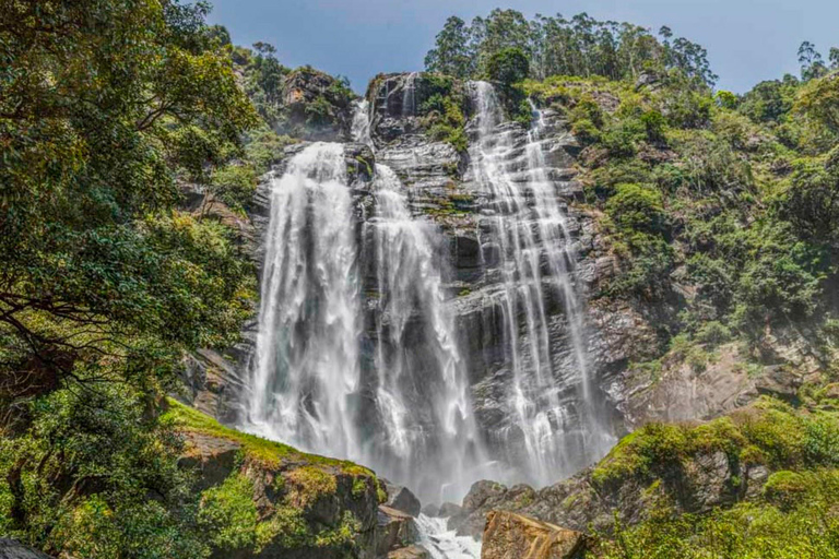 Kandy to Nanuoya Drop Trip & Morning (9.00) Ella Train Ride Kandy to Nanuoya Drop Trip & Morning Ella Train Ride by Tuk