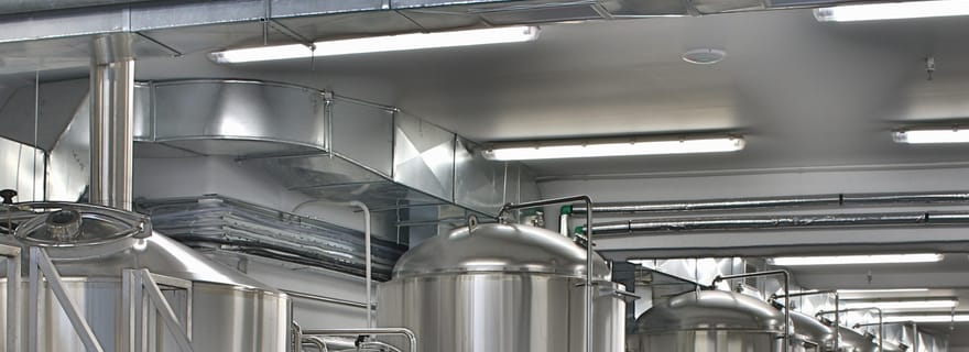 Dégustation de bière à Mykonos Brewing Company