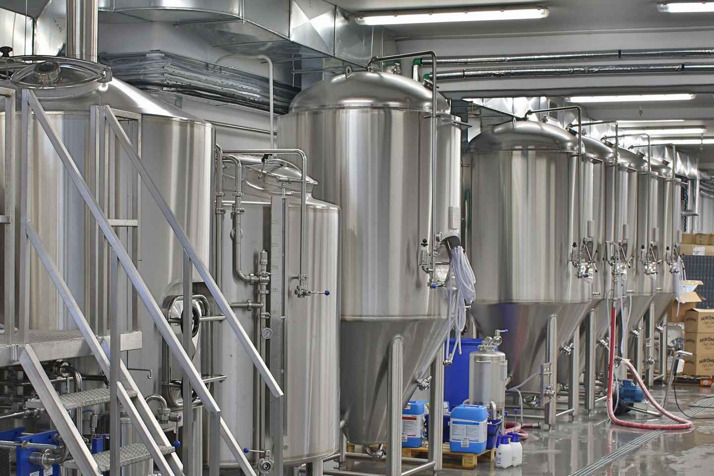 Beer Tasting at Mykonos Brewing Company