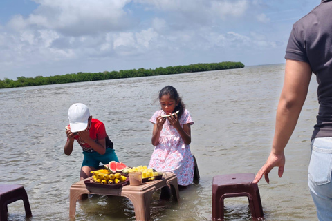 From Negombo: Boat Tour of Negombo Lagoon